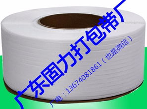 固力打包帶廠 以知識(shí)產(chǎn)權(quán)服務(wù)賦能企業(yè)創(chuàng)新與市場(chǎng)競(jìng)爭(zhēng)力