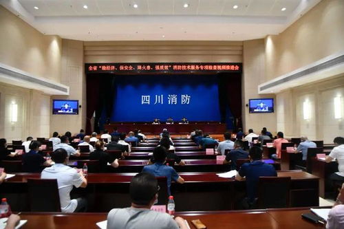 嚴查消防隱患，筑牢安全防線——四川消防技術服務機構專項檢查取得階段性成效